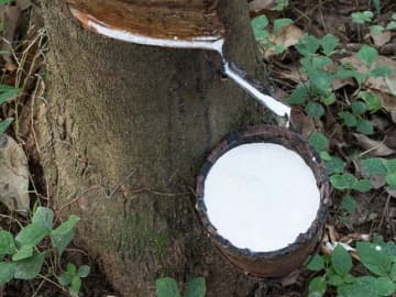 Condooms: Hoe worden ze gemaakt