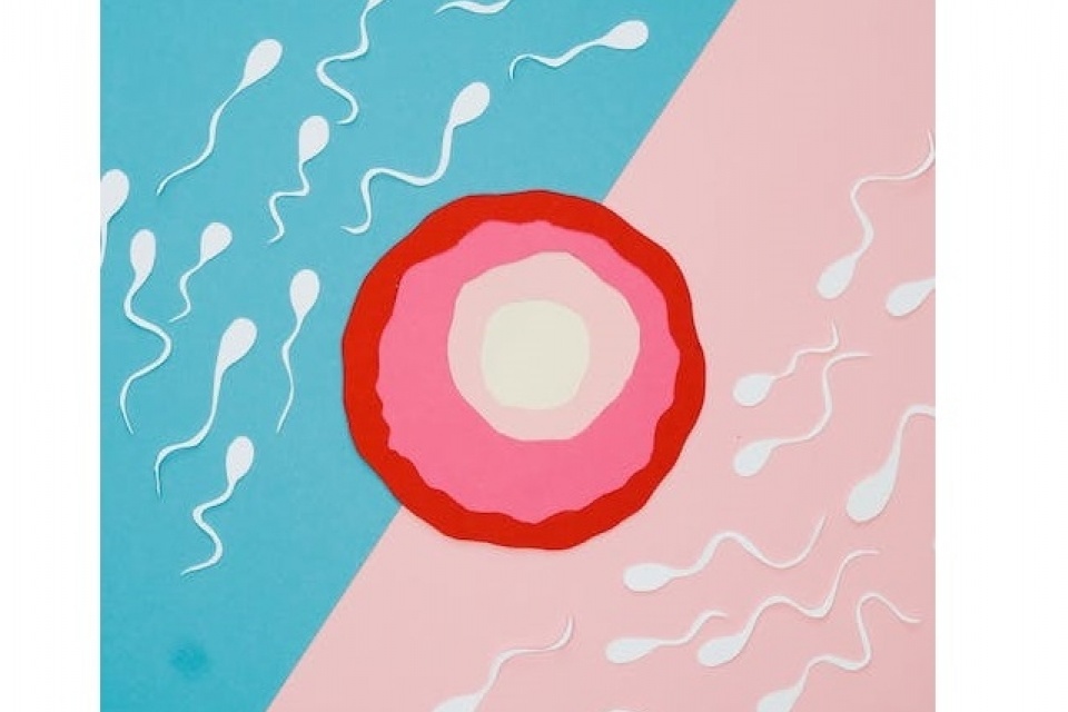 Hoe verhoog je de spermaproductie en -kwaliteit? 8 tips om direct mee te starten