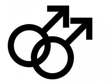 Homo en Homoseksuele geaardheid