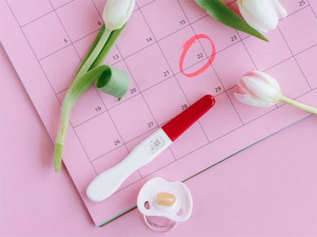 Hoe moet je de ovulatie berekenen?
