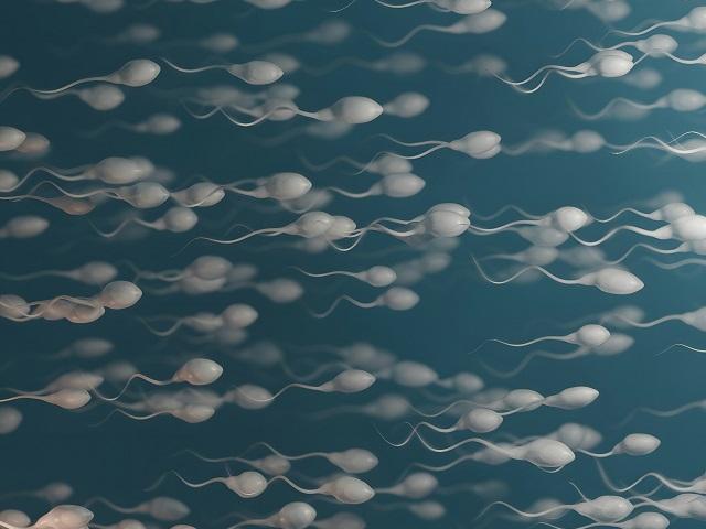 Hoe verhoog je de spermaproductie en -kwaliteit? 8 tips om direct mee te starten