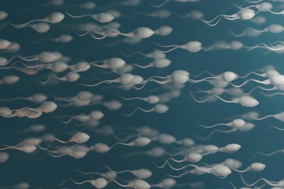 Hoe verhoog je de spermaproductie en -kwaliteit? 8 tips om direct mee te starten