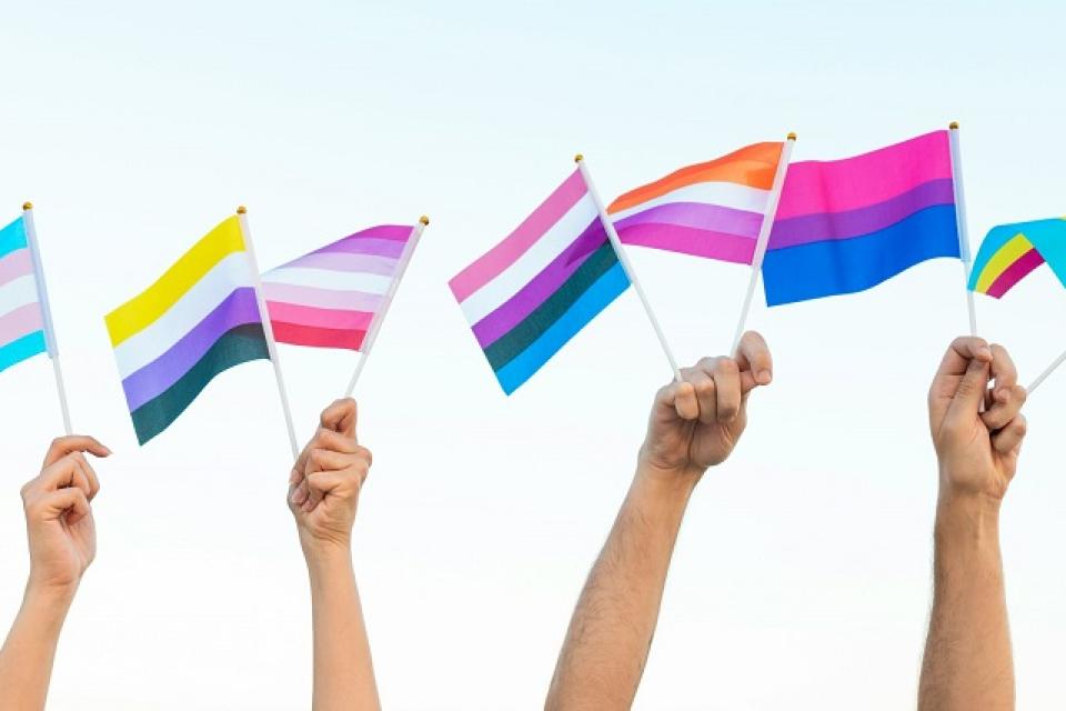 De verschillende soorten seksuele geaardheden