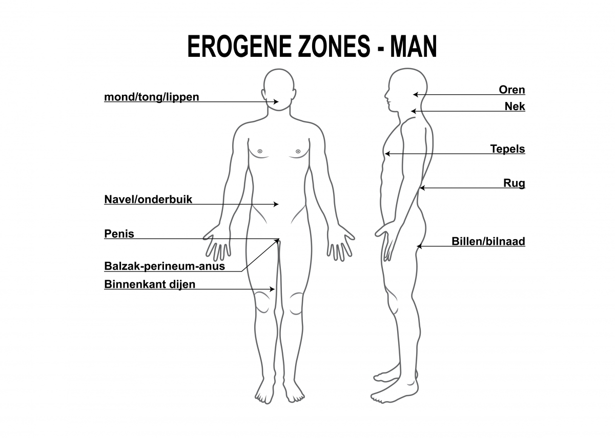 erogene zones van de man