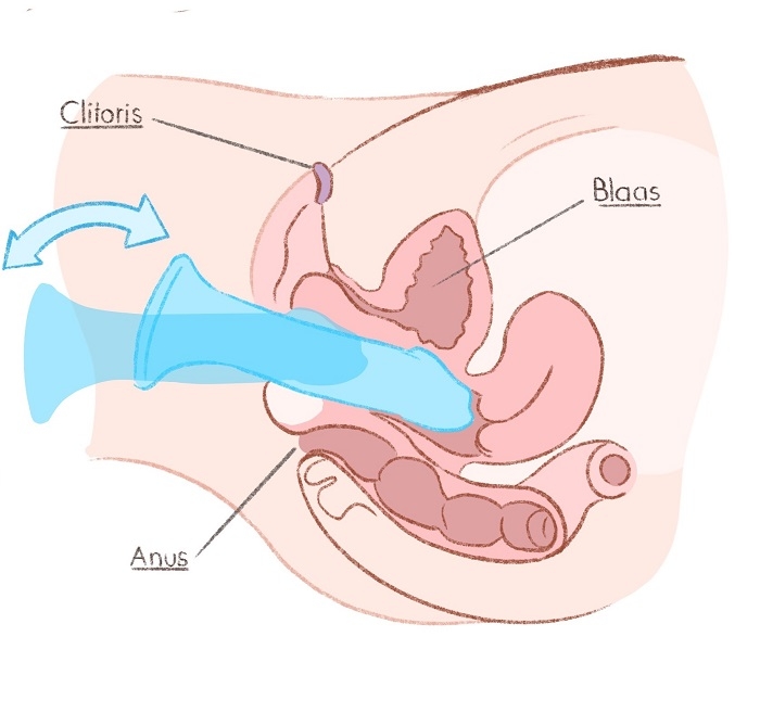 dildo gebruiken met geaderde schacht zacht materiaal. strap on dildo kun als anaal dildo's gebruiken. Spuitende dildo's zijn direct leverbaar