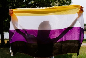 seksualiteit wel seksuele aantrekkingskracht idee ervan sex favourable seksueel laag libido sex averse